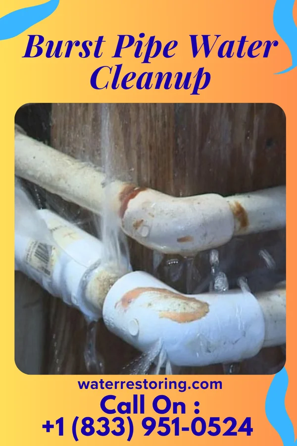 Burst Pipe Water Cleanup in Macksville, KS